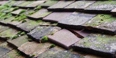 Haynes Church End roof repair costs